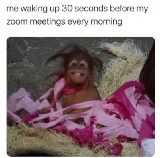 Funny Zoom Memes To Put In The Zoom Chat While Your Boss Is Talking