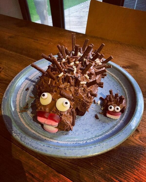 Can Anyone Actually Make A Hedgehog Cake Correctly? It Appears Not (25 ...