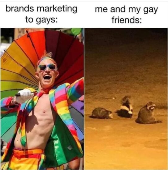 facebook likes gay pride meme